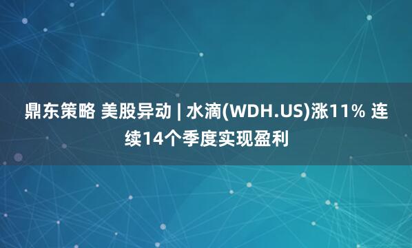 鼎东策略 美股异动 | 水滴(WDH.US)涨11% 连续14个季度实现盈利